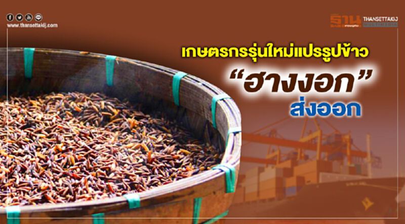 เกษตรกรรุ่นใหม่เมืองสกลแปรรูปข้าว “ฮางงอก”ส่งออก เกษตรกรรุ่นใหม่เมืองสกลแปรรูปข้าว “ฮางงอก”ส่งออก