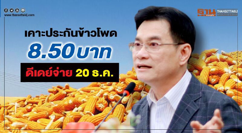 เคาะประกันข้าวโพด 8.50 บาท ดีเดย์จ่าย 20 ธ.ค.