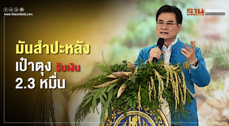 มันสำปะหลังเฮ เตรียมรับทรัพย์ 2.3 หมื่น มันสำปะหลังเฮ เตรียมรับทรัพย์ 2.3 หมื่น