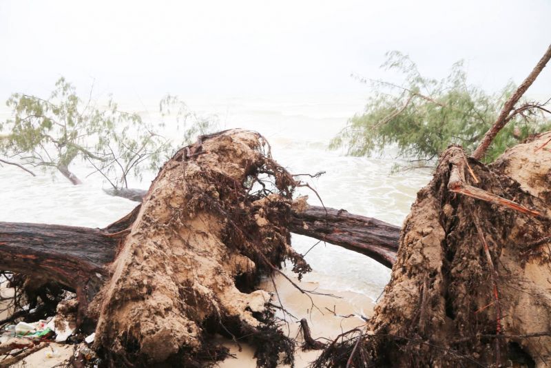 "นิพนธ์"ลงพื้นที่ตรวจความเสียหาย"หาดชลาทัศน์" 