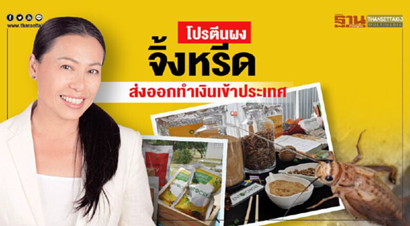 โปรตีนผงจิ้งหรีด ส่งออกทำเงินเข้าประเทศ โปรตีนผงจิ้งหรีด ส่งออกทำเงินเข้าประเทศ