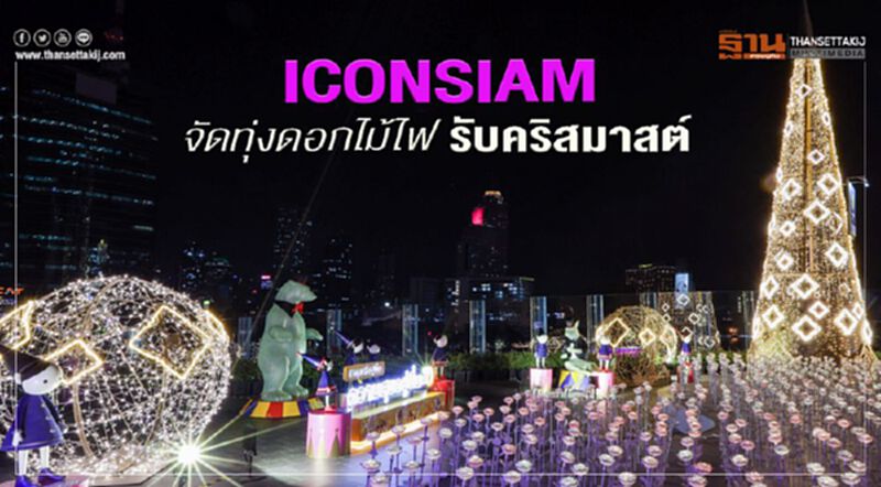 ICONSIAM จัดทุ่งดอกไม้ไฟ LED รับคริสมาสต์ ICONSIAM จัดทุ่งดอกไม้ไฟ LED รับคริสมาสต์