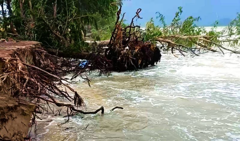 "นิพนธ์"สำรวจความเสียหายหาดชลาทัศน์เหตุคลื่นลมแรง