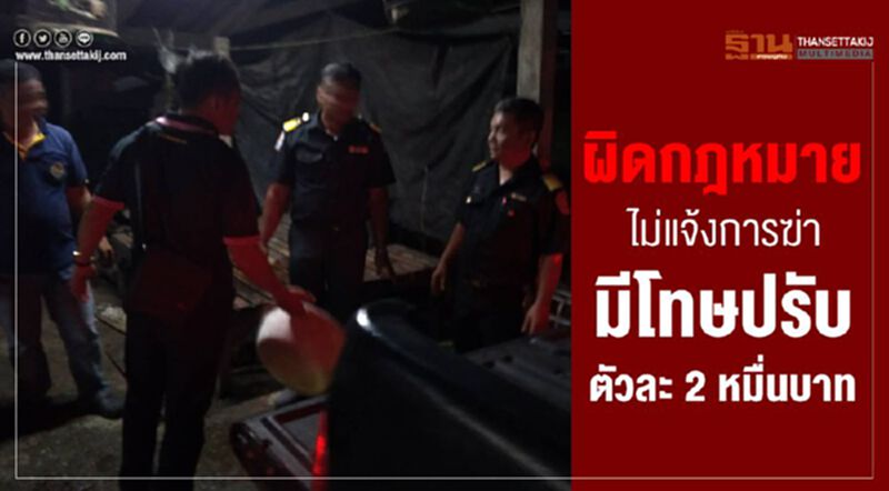 ฆ่าสัตว์ไม่แจ้งการฆ่ามีโทษปรับตัวละ 2 หมื่นบาท ฆ่าสัตว์ไม่แจ้งการฆ่ามีโทษปรับตัวละ 2 หมื่นบาท