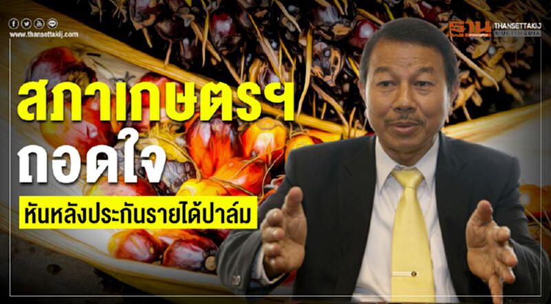 สภาเกษตรฯถอดใจ หันหลังประกันรายได้ปาล์ม สภาเกษตรฯถอดใจ หันหลังประกันรายได้ปาล์ม