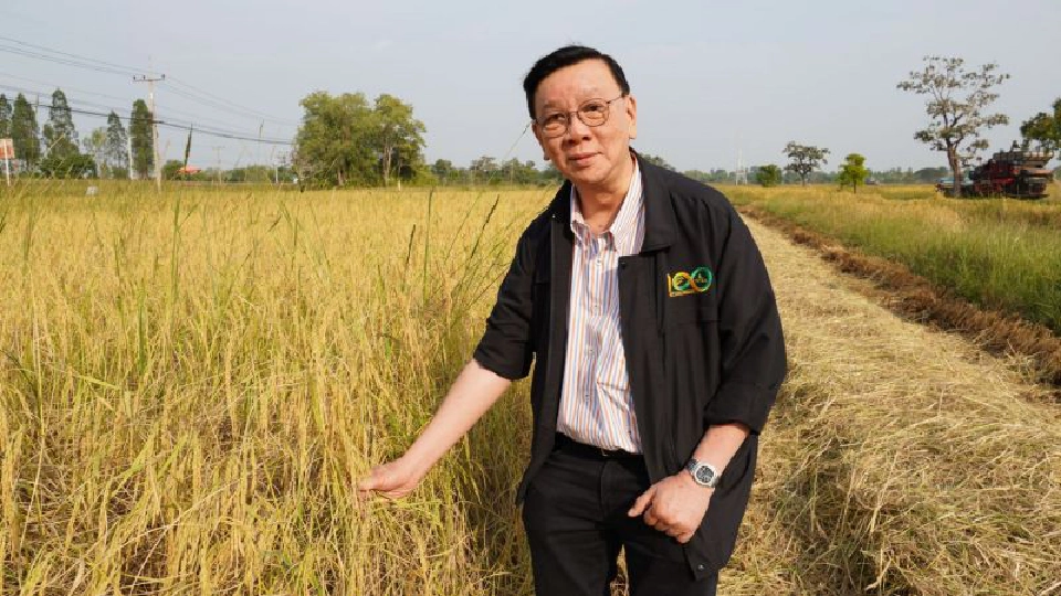 ส่งออกข้าวไทยระส่ำ ปี63 คงเป้า 8 ล้านตัน