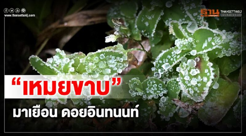 เช็คพื้นที่หนาวปากสั่น “เหมยขาบ-แม่คะนิ้ง” โผล่อวดโฉม เช็คพื้นที่หนาวปากสั่น “เหมยขาบ-แม่คะนิ้ง” โผล่อวดโฉม