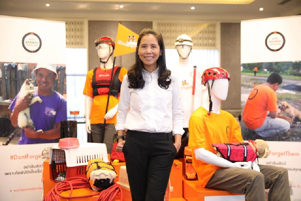 8 องค์กรใหญ่ผนึกกำลังช่วยเหลือสัตว์ประสบภัยพิบัติ