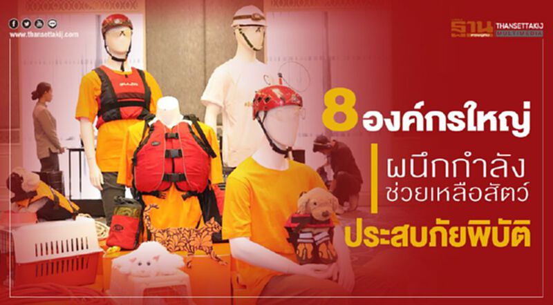 8 องค์กรใหญ่ผนึกกำลังช่วยเหลือสัตว์ประสบภัยพิบัติ 8 องค์กรใหญ่ผนึกกำลังช่วยเหลือสัตว์ประสบภัยพิบัติ