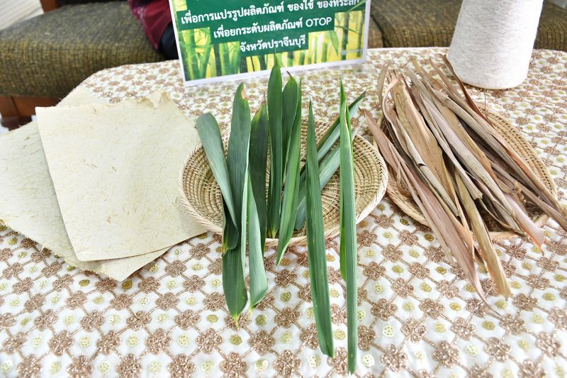 กระดาษจากใบไผ่  ของเหลือใช้ที่มีมูลค่า