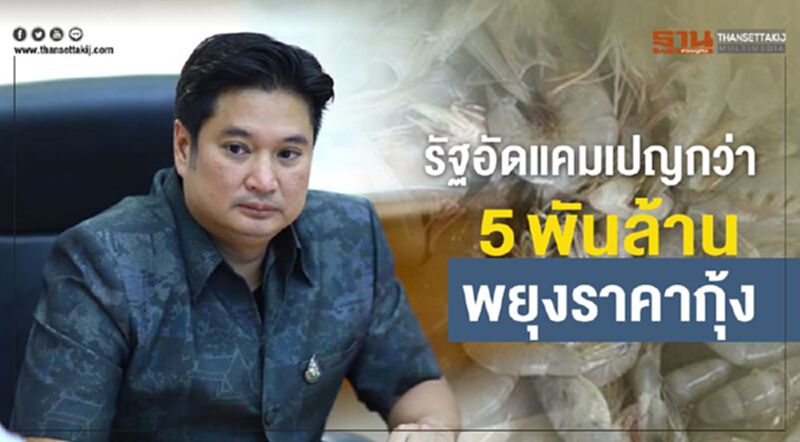 รัฐอัดแคมเปญกว่า 5 พันล้านพยุงราคากุ้ง รัฐอัดแคมเปญกว่า 5 พันล้านพยุงราคากุ้ง
