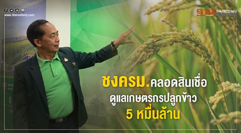 ชงครม.คลอดสินเชื่อดูแลเกษตรกรปลูกข้าว 5 หมื่นล้าน ชงครม.คลอดสินเชื่อดูแลเกษตรกรปลูกข้าว 5 หมื่นล้าน