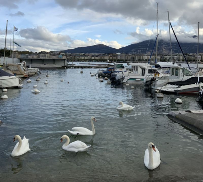 GENEVA : สุนทรีย์แห่งเมือง