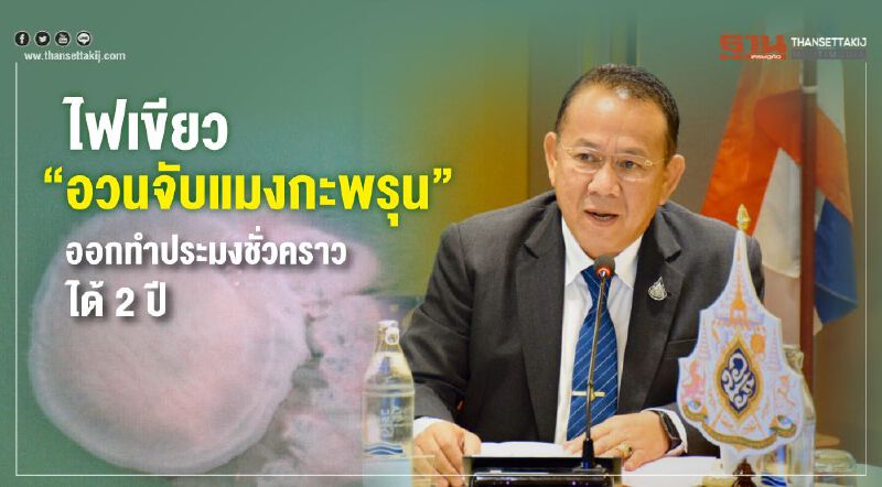 ไฟเขียว “อวนจับแมงกะพรุน” ออกทำประมงชั่วคราวได้ 2 ปี