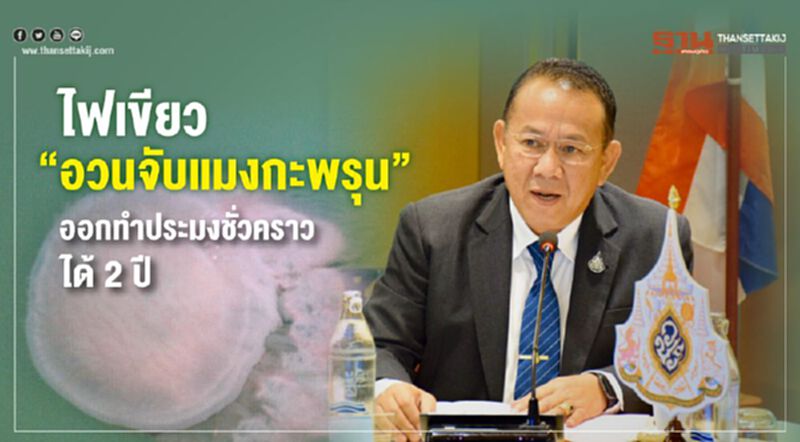 ไฟเขียว “อวนจับแมงกะพรุน” ออกทำประมงชั่วคราวได้ 2 ปี ไฟเขียว “อวนจับแมงกะพรุน” ออกทำประมงชั่วคราวได้ 2 ปี