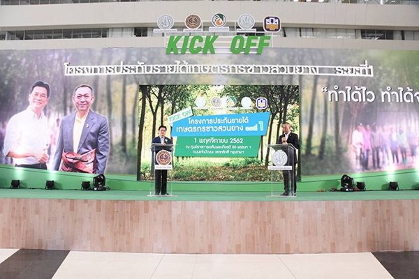 ผงะ! โรคเชื้อราลามยางเสียหาย 2.4 พันล้าน