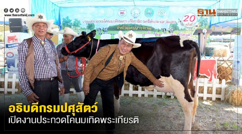 อธิบดีกรมปศุสัตว์เปิดงานประกวดโคนมเทิดพระเกียรติ อธิบดีกรมปศุสัตว์เปิดงานประกวดโคนมเทิดพระเกียรติ