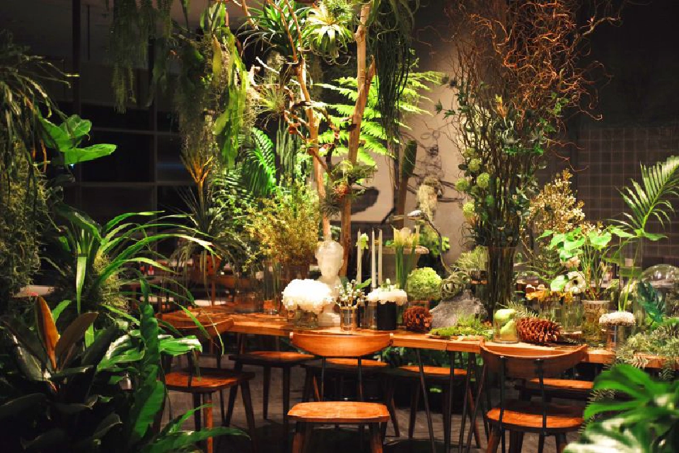 ‘เดอะ ฟอเรสเทียส์’ ชูมหัศจรรย์ธรรมชาติส่งมอบความสุขในทุกวัน