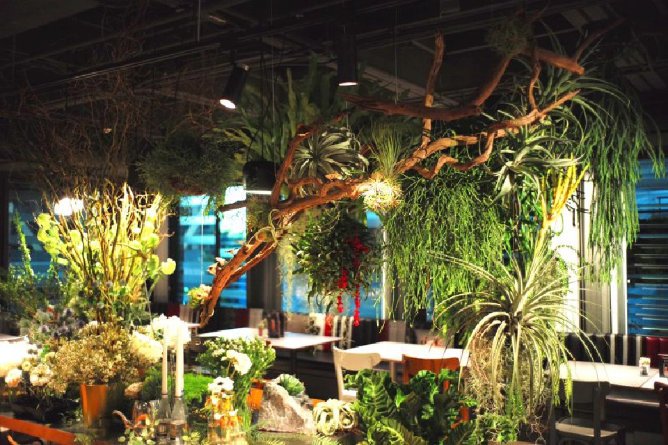 ‘เดอะ ฟอเรสเทียส์’ ชูมหัศจรรย์ธรรมชาติส่งมอบความสุขในทุกวัน