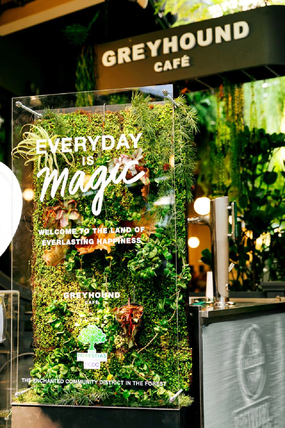 ‘เดอะ ฟอเรสเทียส์’ ชูมหัศจรรย์ธรรมชาติส่งมอบความสุขในทุกวัน