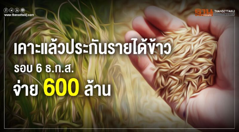 เคาะแล้วประกันรายได้ข้าวรอบ6 ธ.ก.ส.จ่าย 600 ล้าน เคาะแล้วประกันรายได้ข้าวรอบ6 ธ.ก.ส.จ่าย 600 ล้าน