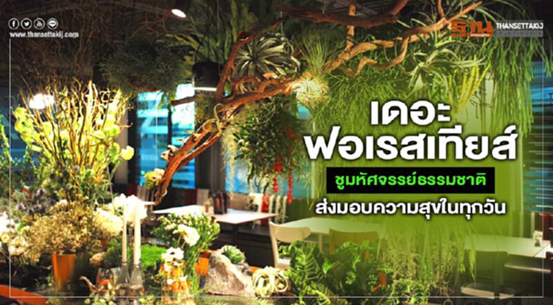 ‘เดอะ ฟอเรสเทียส์’ ชูมหัศจรรย์ธรรมชาติส่งมอบความสุขในทุกวัน ‘เดอะ ฟอเรสเทียส์’ ชูมหัศจรรย์ธรรมชาติส่งมอบความสุขในทุกวัน