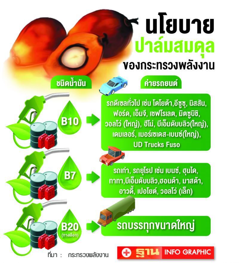 ‘B10’ ร้อนแรงดันราคาปาล์มพุ่ง 6 บาท/กก.
