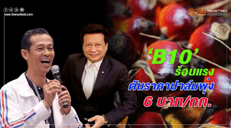 ‘B10’ ร้อนแรงดันราคาปาล์มพุ่ง 6 บาท/กก. ‘B10’ ร้อนแรงดันราคาปาล์มพุ่ง 6 บาท/กก.