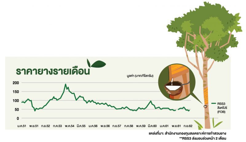 เปิดแผนจีน“กินรวบ” ทุเรียนไทย  หวั่นซ้ำรอยยางพารา!!!