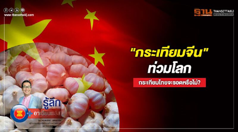 “กระเทียมจีน”ท่วมโลก กระเทียมไทยจะรอดหรือไม่? “กระเทียมจีน”ท่วมโลก กระเทียมไทยจะรอดหรือไม่?