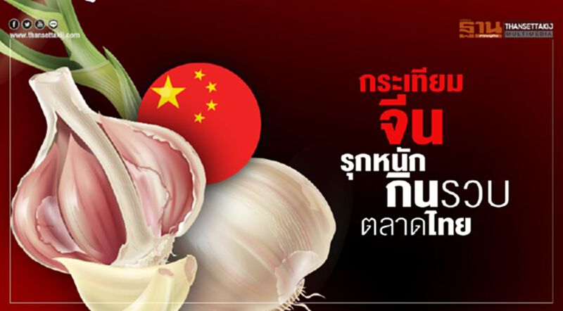 กระเทียมจีนรุกหนัก กินรวบตลาดไทยหมื่นล. กระเทียมจีนรุกหนัก กินรวบตลาดไทยหมื่นล.