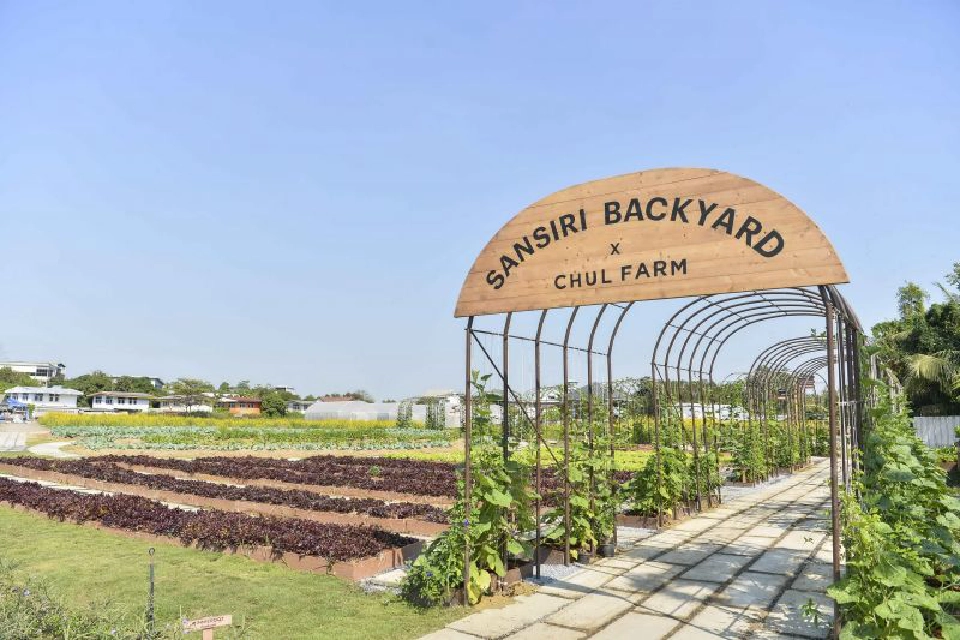 แสนสิริ เปิดคอมมิวนิตีสีเขียว