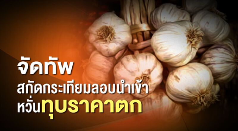 จัดทัพสกัดกระเทียมลักลอบนำเข้าหวั่นทุบผลผลิตปีใหม่ราคาตก จัดทัพสกัดกระเทียมลักลอบนำเข้าหวั่นทุบผลผลิตปีใหม่ราคาตก
