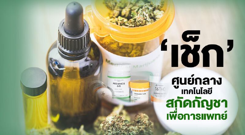 เช็ก: ศูนย์กลางเทคโนโลยีการสกัดกัญชาเพื่อการแพทย์