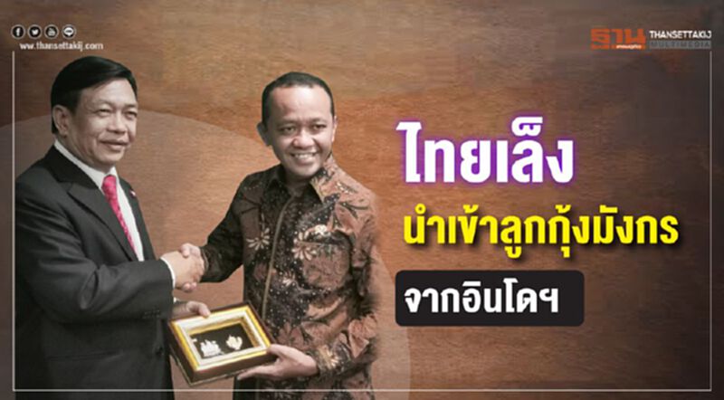 ไทยเล็งนำเข้าลูกกุ้งมังกรจากอินโดฯ ไทยเล็งนำเข้าลูกกุ้งมังกรจากอินโดฯ