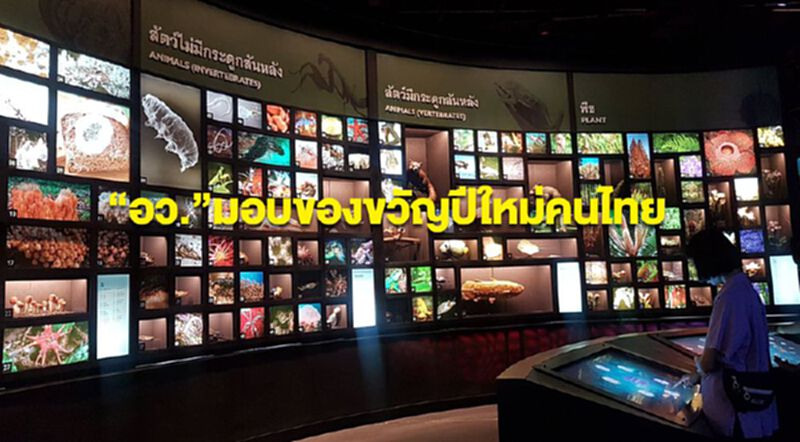 “อว.” จัดเต็มขนนวัตกรรมมอบของขวัญปีใหม่คนไทย “อว.” จัดเต็มขนนวัตกรรมมอบของขวัญปีใหม่คนไทย
