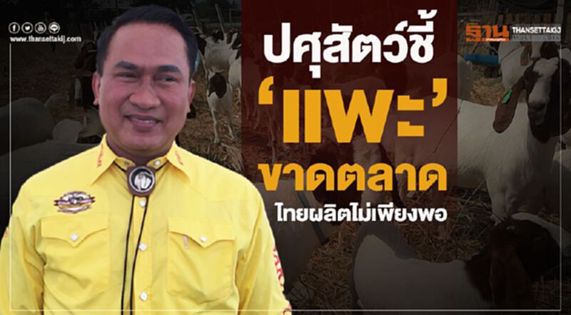 ปศุสัตว์ชี้ ‘แพะ’ ขาดตลาดไทยผลิตไม่เพียงพอ ปศุสัตว์ชี้ ‘แพะ’ ขาดตลาดไทยผลิตไม่เพียงพอ