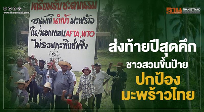 ส่งท้ายปีสุดคึกชาวสวนขึ้นป้ายปกป้องมะพร้าวไทย ส่งท้ายปีสุดคึกชาวสวนขึ้นป้ายปกป้องมะพร้าวไทย