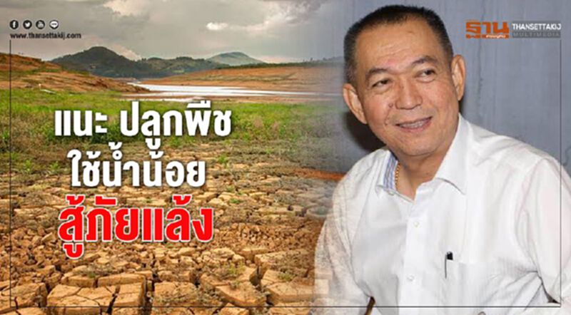 ทางรอดภัยแล้ง "รมว.เกษตรฯ" แนะ ปลูกพืชใช้น้ำน้อย ทางรอดภัยแล้ง "รมว.เกษตรฯ" แนะ ปลูกพืชใช้น้ำน้อย