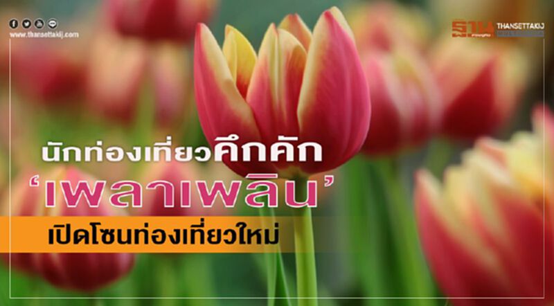 นักท่องเที่ยวคึกคัก”เพลาเพลิน” เปิดโซนท่องเที่ยวใหม่ นักท่องเที่ยวคึกคัก”เพลาเพลิน” เปิดโซนท่องเที่ยวใหม่