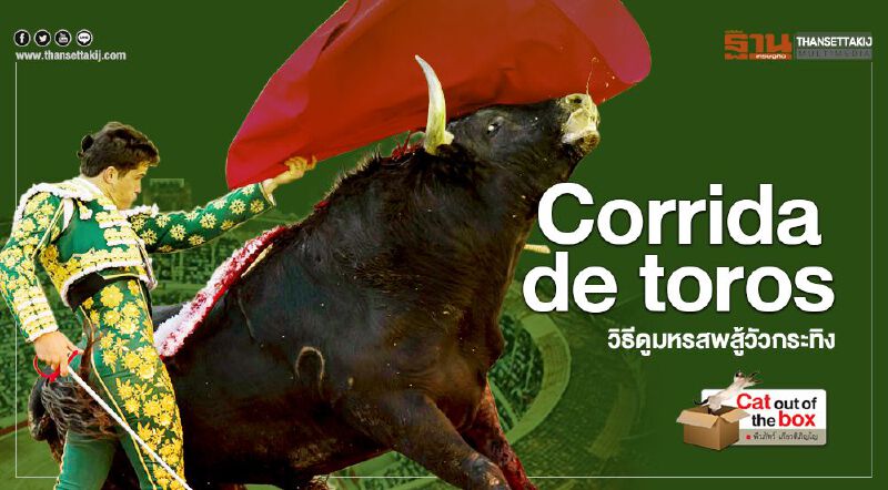 Corrida de toros วิธีดูมหรสพสู้วัวกระทิง Corrida de toros วิธีดูมหรสพสู้วัวกระทิง