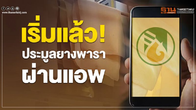 เริ่มแล้ว! ประมูลยางพาราผ่านแอพ เริ่มแล้ว! ประมูลยางพาราผ่านแอพ