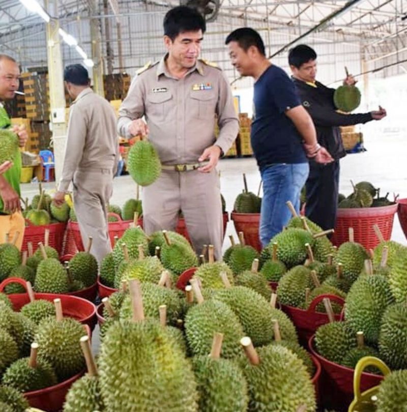 ปี63 เล็งส่งออกผลไม้ไปจีน 6 แสนตัน