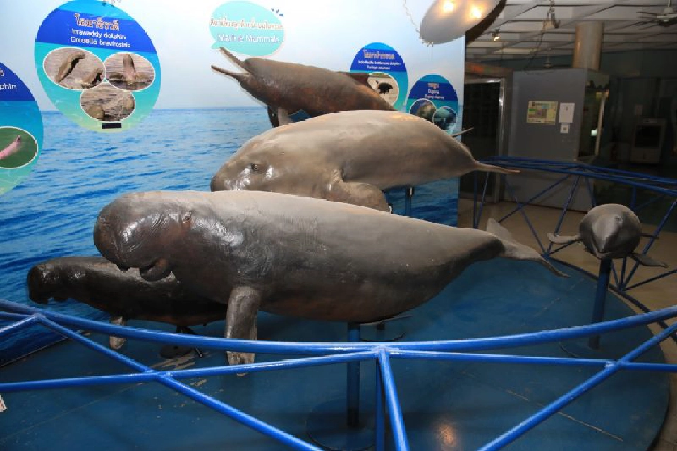 ชวนSave The Planet เรียนรู้รักษาธรรมชาติ  เติมความฉลาดรอบด้านงานวันเด็กแห่งชาติ 