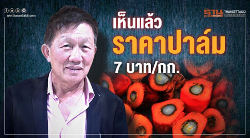 เห็นแล้วราคาปาล์ม 7 บาท/กก. เห็นแล้วราคาปาล์ม 7 บาท/กก.