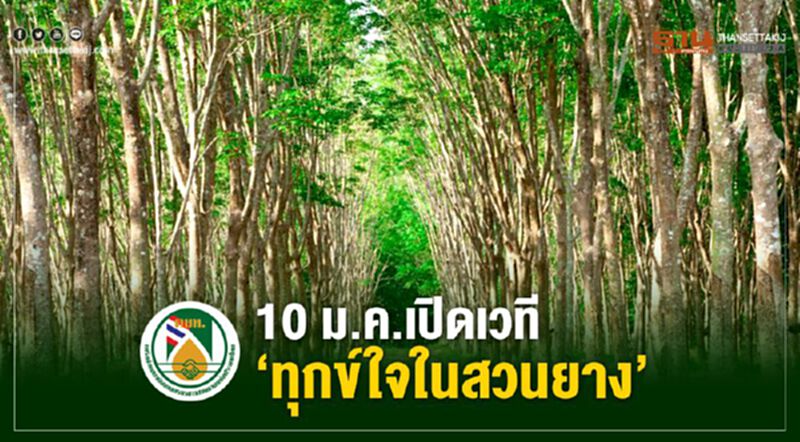 10 ม.ค.เปิดเวที ‘ทุกข์ใจในสวนยาง’ 10 ม.ค.เปิดเวที ‘ทุกข์ใจในสวนยาง’