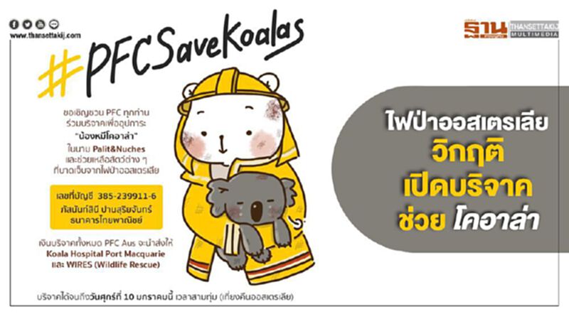 ไฟป่าออสเตรเลียวิกฤติ เปิดบริจาคช่วยโคอาล่า ไฟป่าออสเตรเลียวิกฤติ เปิดบริจาคช่วยโคอาล่า