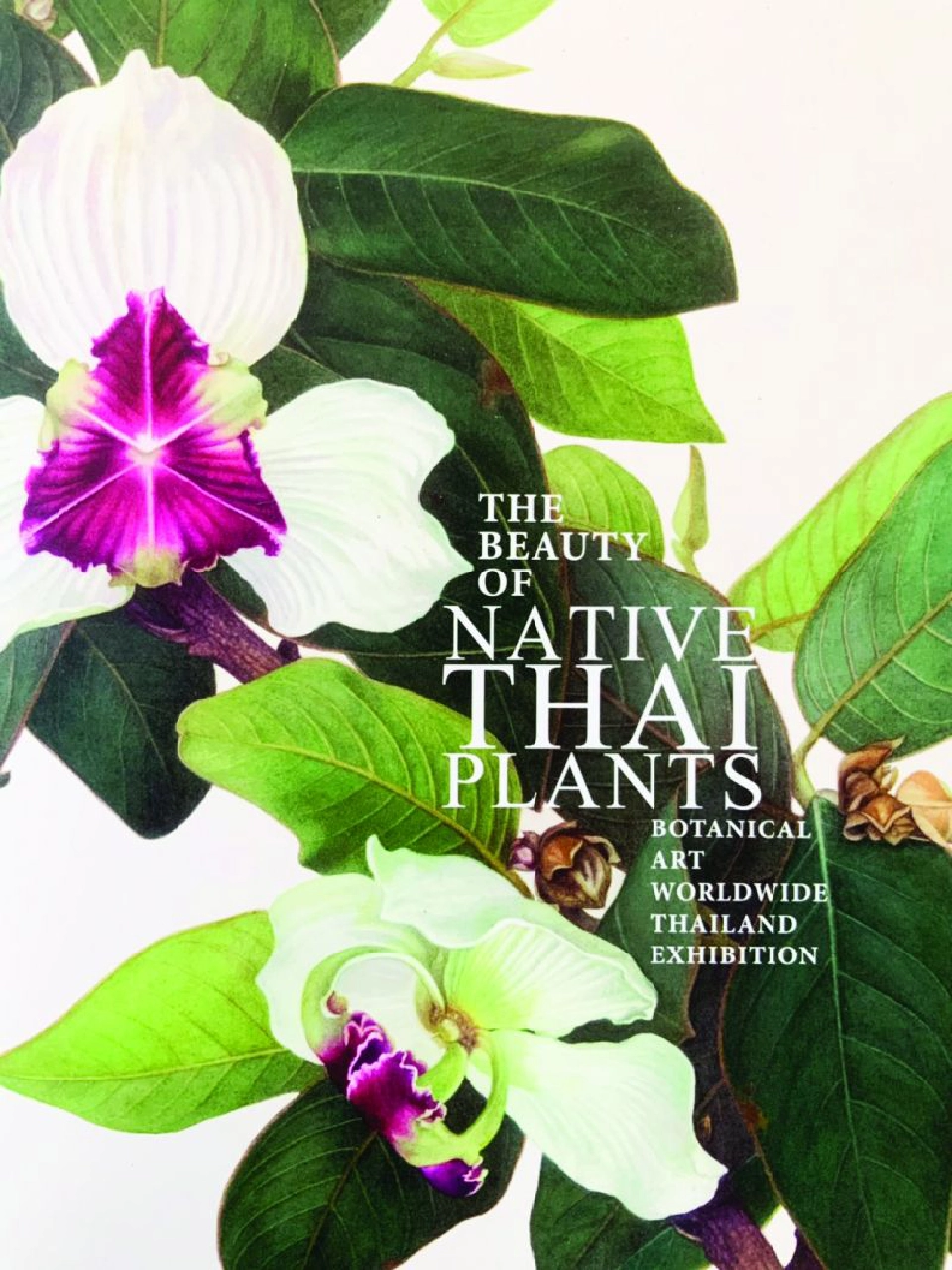 DR. SHIRLEY SHERWOOD & MODERN  MASTER PHANSAKDICHAKKAPHAK