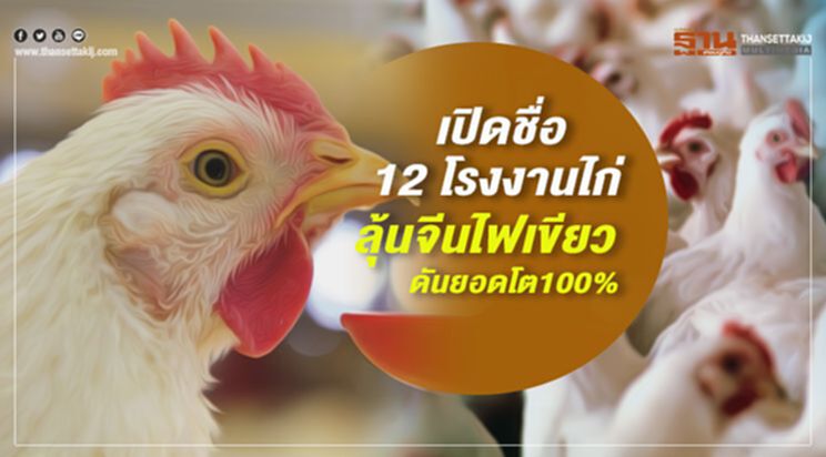 เปิดชื่อ 12 โรงงานไก่ ลุ้นจีนไฟเขียว ดันยอดโต100% เปิดชื่อ 12 โรงงานไก่ ลุ้นจีนไฟเขียว ดันยอดโต100%