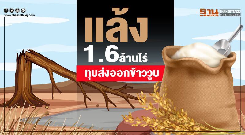 แล้ง1.6ล้านไร่  ทุบส่งออกข้าววูบ